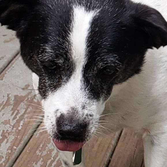 Meet your Posher, Roger - Picture 4 of 4